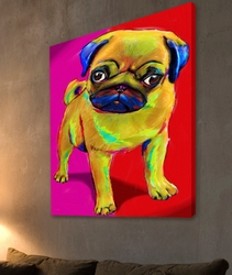 Pet-glo portrait - 1 face -Solid Color Background